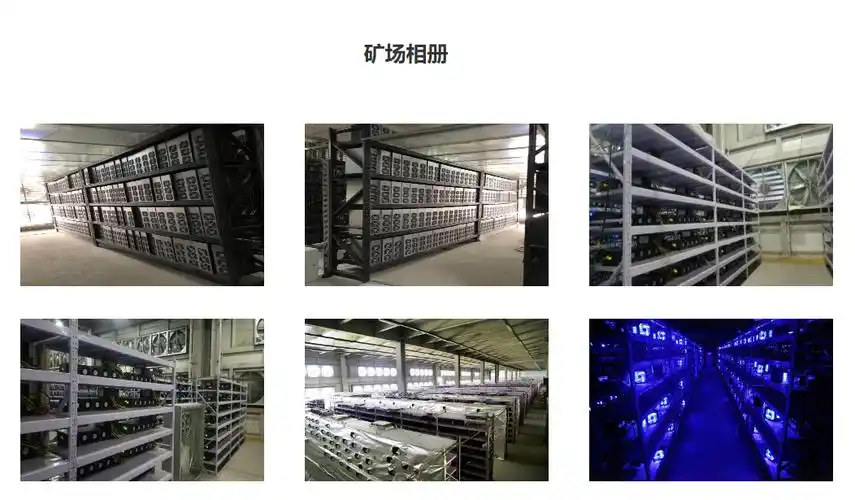 A bustling mining farm in the Netherlands, highlighting organized rows of rigs and advanced cooling systems for efficient cryptocurrency extraction