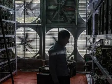 An overview of a bustling mining farm utilizing immersion cooling systems to optimize Bitcoin and Dogecoin extraction processes